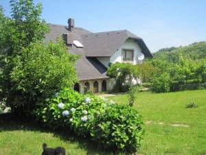 Property of the Week: Large House Near Novo Mesto